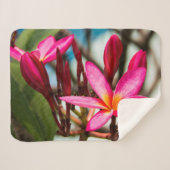Couverture Sherpa Plumeria arrière - plan de fleurs exotiques (Devant (Horizontal))
