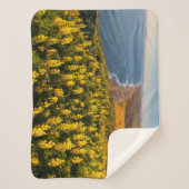 Couverture Sherpa Point Reyes National Seashore California (Devant)