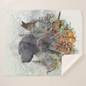 Couverture Sherpa Pointeur à poils courts allemand en hiver (Devant (Horizontal))