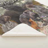 Couverture Sherpa Pointeur À poils durs allemand (3/4)