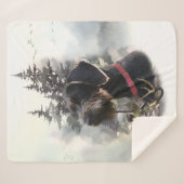 Couverture Sherpa Pointeur À poils durs allemand, GWP (Devant (Horizontal))