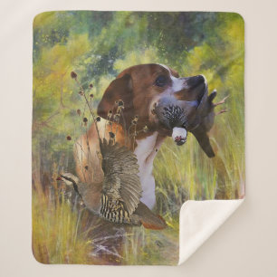 Couverture Sherpa Pointeur anglais