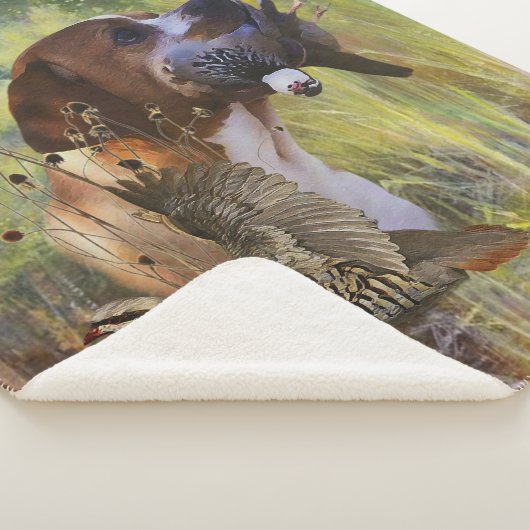 Couverture Sherpa Pointeur anglais (3/4)