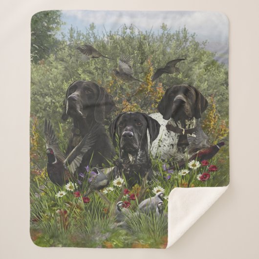 Couverture Sherpa Pointeurs allemands à poils courts (Devant)