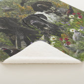 Couverture Sherpa Pointeurs allemands à poils courts (3/4)