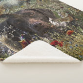 Couverture Sherpa Pointeurs allemands à poils courts (3/4)