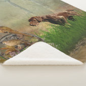 Couverture Sherpa Pointeurs germains (GSP) (3/4)