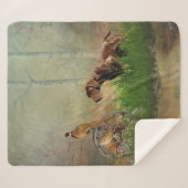 Couverture Sherpa Pointeurs germains (GSP) (Devant (Horizontal))