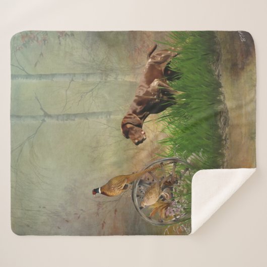 Couverture Sherpa Pointeurs germains (GSP) (Devant (Horizontal))