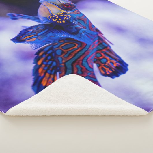 Couverture Sherpa Poisson Mandarin Goby (3/4)
