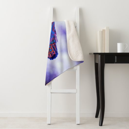 Couverture Sherpa Poisson Mandarin Goby (En situation)