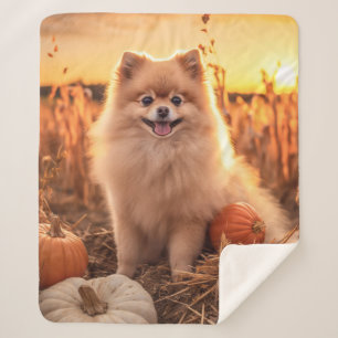 Couverture Sherpa Pomeranian d'automne