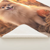 Couverture Sherpa Pomeranian d'automne (3/4)
