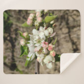 Couverture Sherpa Pomme bourre fleur (Devant (Horizontal))
