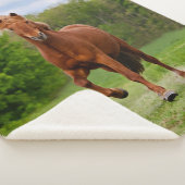 Couverture Sherpa Pony islandais Coups Tölt Amoureux de la photo (3/4)