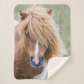 Couverture Sherpa Pony Shetland sur l'île d'Unst (Devant)