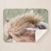 Couverture Sherpa Pony Shetland sur l'île d'Unst (Devant (Horizontal))