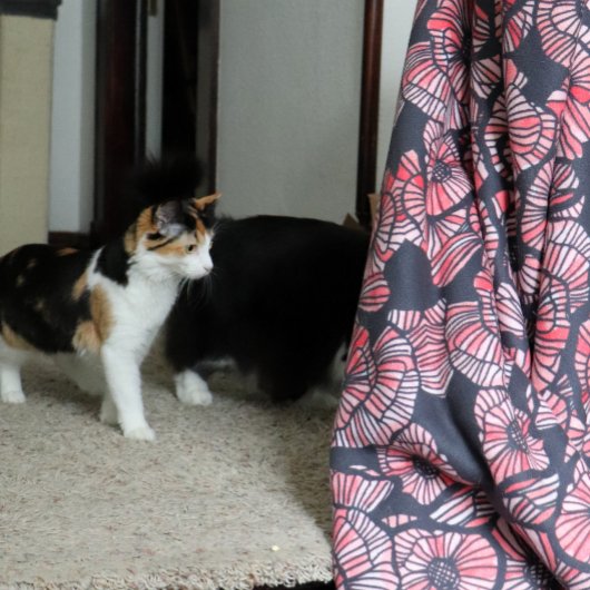 Couverture Sherpa Poppies rouges Fleurs rouges Fleur de pavot Jardin