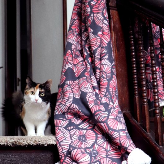 Couverture Sherpa Poppies rouges Fleurs rouges Fleur de pavot Jardin