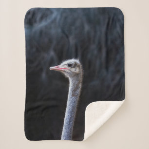 Couverture Sherpa portrait d'autruche