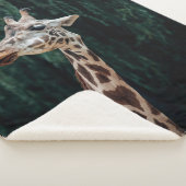 COUVERTURE SHERPA PORTRAIT DE GIRAFFE CUIT (3/4)