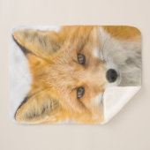 Couverture Sherpa Portrait de renard roux (Devant (Horizontal))