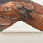 Couverture Sherpa Portrait de Rhodesian Ridgeback (3/4)