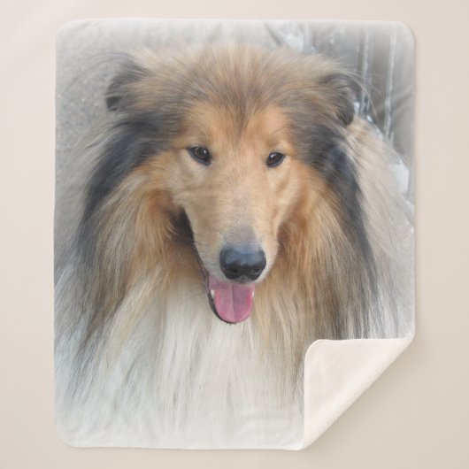 Couverture Sherpa Portrait de Rough Collie (Devant)