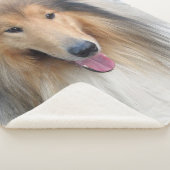 Couverture Sherpa Portrait de Rough Collie (3/4)