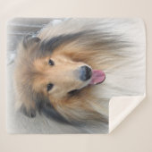Couverture Sherpa Portrait de Rough Collie (Devant (Horizontal))
