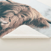 Couverture Sherpa Portrait de vache Highland (3/4)