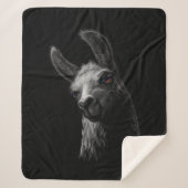Couverture Sherpa Portrait Head Cute Llama avec un Arrière - plan no (Devant)