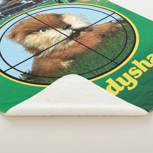 Couverture Sherpa Poster de Caddyshack (3/4)