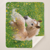 Couverture Sherpa Poulain mignon de cheval de Haflinger se reposant (Devant)