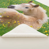 Couverture Sherpa Poulain mignon de cheval de Haflinger se reposant (3/4)