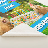 Couverture Sherpa Prairie Dog Birthday Party (3/4)