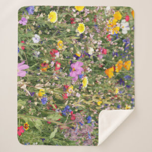 Couverture Sherpa Pré fleur sauvage coloré, motif vibrant.
