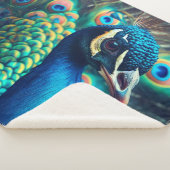 Couverture Sherpa Profil Peacock (3/4)