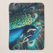 Couverture Sherpa Profil Peacock (Devant)