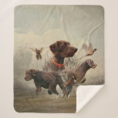 Couverture Sherpa Pudelpointers, Chasse faisan (Devant)