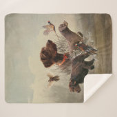 Couverture Sherpa Pudelpointers, Chasse faisan (Devant (Horizontal))