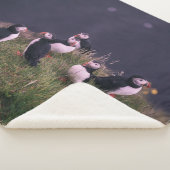 Couverture Sherpa Puffins de l'Atlantique (3/4)