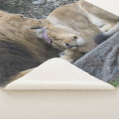 Couverture Sherpa Puissant amour Lion (3/4)