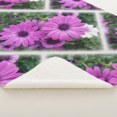 Couverture Sherpa Purple daisies (3/4)
