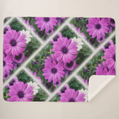 Couverture Sherpa Purple daisies (Devant (Horizontal))