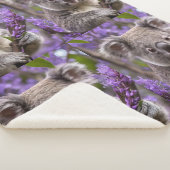 Couverture Sherpa Purple Jacaranda Koala Ours, (3/4)