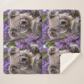 Couverture Sherpa Purple Jacaranda Koala Ours, (Devant (Horizontal))