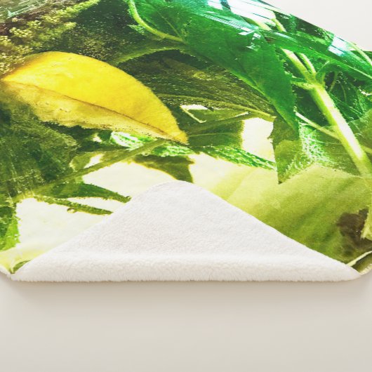 Couverture Sherpa Quand la vie vous donne des chaussettes de citron (3/4)