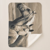 Couverture Sherpa Quart De Chevaux Sur Les Prairies Canadiennes (Devant)