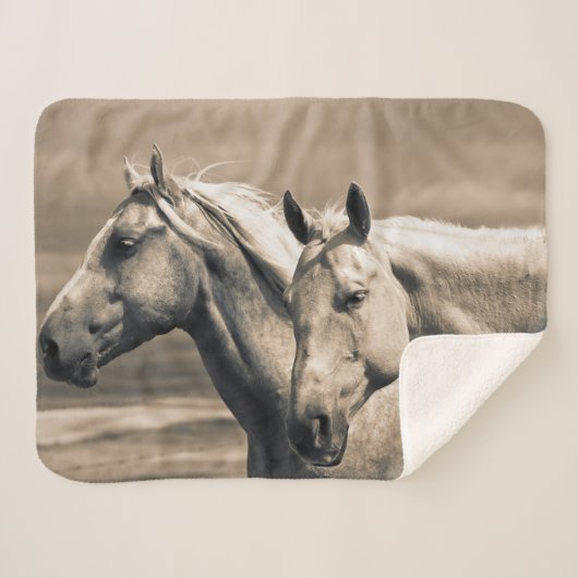 Couverture Sherpa Quart De Chevaux Sur Les Prairies Canadiennes (Devant (Horizontal))